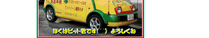 ぼくはピット君です。よろしくね